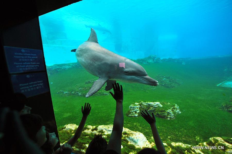 People visit the Resorts World Sentosa's S.E.A Aquarium in Singapore, April 9, 2013. The aquarium, is the official record holder of the two Guinness World Records - for the world's largest aquarium and for the world's largest acrylic panel in its Ocean Gallery, according to the announcement of the Resorts World Sentosa. (Xinhua/Then Chih Wey) 