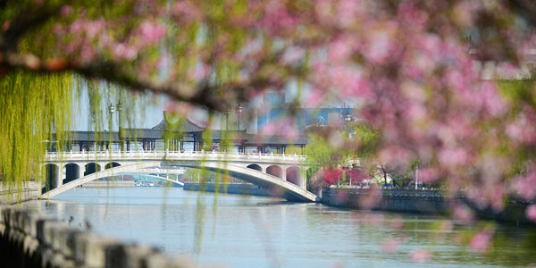 Spring is without doubt the best time to visit Yangzhou, as a well-known Chinese poem once said. The eastern city is full of life and vigor with different species of flowers opening to full blossom and their flamboyant colors reflected on the tranquil surface of the Slender West Lake. Photo taken on Tuesday, April 2, 2013. (Xinhua)