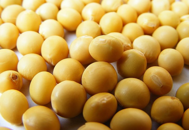 Soybean (Photo Source: huanqiu.com)