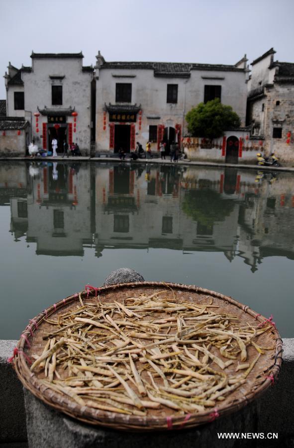 Local residents dry bamboo shoots in the Hongcun Village of Yixian County, east China's Anhui Province, April 10, 2013. (Xinhua/Yan Yan)