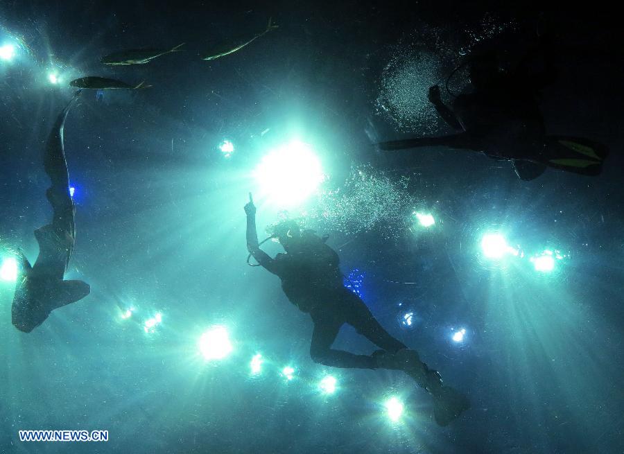 Divers play with fish during a diving event at the Hong Kong Ocean Park in Hong Kong, south China, April 11, 2013. The event, starting Thursday, enables visitor to get into close touch with the fish in the park's tanks. (Xinhua/Wang Yuqing)