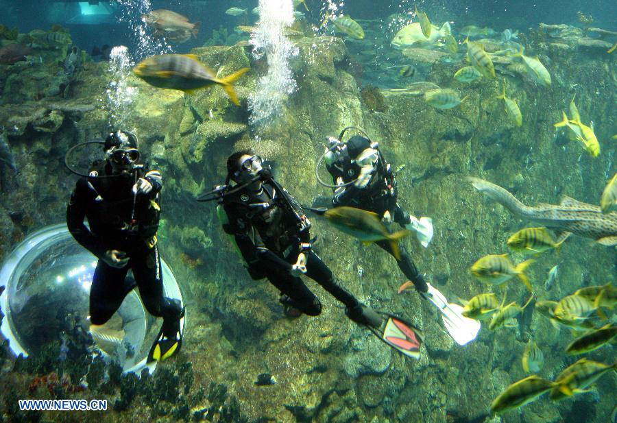 Divers play with fish during a diving event at the Hong Kong Ocean Park in Hong Kong, south China, April 11, 2013. The event, starting Thursday, enables visitor to get into close touch with the fish in the park's tanks. (Xinhua/Wang Yuqing)