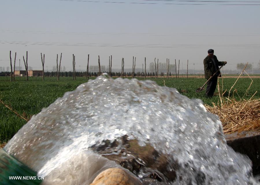 Wheat fields are irrigated at Majia Village of Wangdu County in Baoding City, north China's Hebei Province, April 12, 2013. Many parts in Hebei have been adopting vigorous measures to combat drought which has been developing rapidly since March this year. (Xinhua/Zhu Xudong)