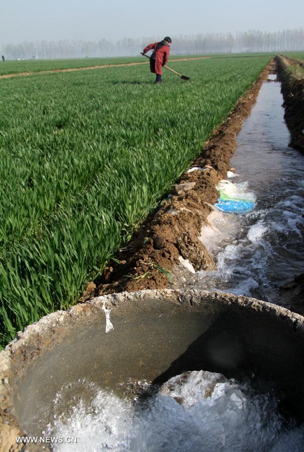 Wheat fields are irrigated at Hanzhuang Village of Wangdu County in Baoding City, north China's Hebei Province, April 12, 2013. Many parts in Hebei have been adopting vigorous measures to combat drought which has been developing rapidly since March this year. (Xinhua/Zhu Xudong)