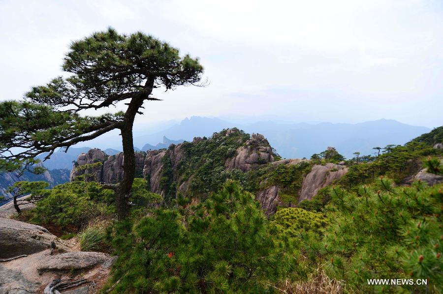 Photo taken on April 13, 2013 shows the scenery of the Sanqing Mountain in Shangrao City, east China's Jiangxi Province. The Sanqing Mountain is a renowned Taoist sacred moutain in Jiangxi Province. Sanqing means the "Three Pure Ones" in Chinese as the Sanqing Mountain is made up of three main summits: Yujing, Yuhua and Yuxu, representing the Taoist trinity. (Xinhua/Zhou Ke)