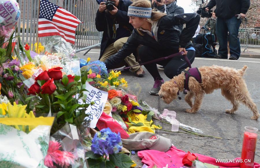 A citizen offers flowers for the victims in Boston Marathon blasts in Boston, the United States, April 16, 2013. The death toll has risen to three, with 176 people injured. (Xinhua/Wang Lei) 