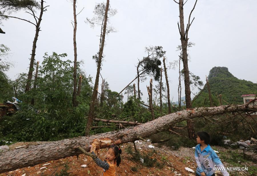 A fallen tree is seen after a tornado in Guilin, south China's Guangxi Zhuang Autonomous Region, April 17, 2013. At least six people were injured and dozens of houses destroyed when a tornado swept through parts of Guangxi on Wednesday morning. The storm hit Qixing District, Guilin City and Rongan County, Liuzhou City at around 5 a.m., local meteorological authorities said. Relief work is under way in the affected areas. (Xinhua) 