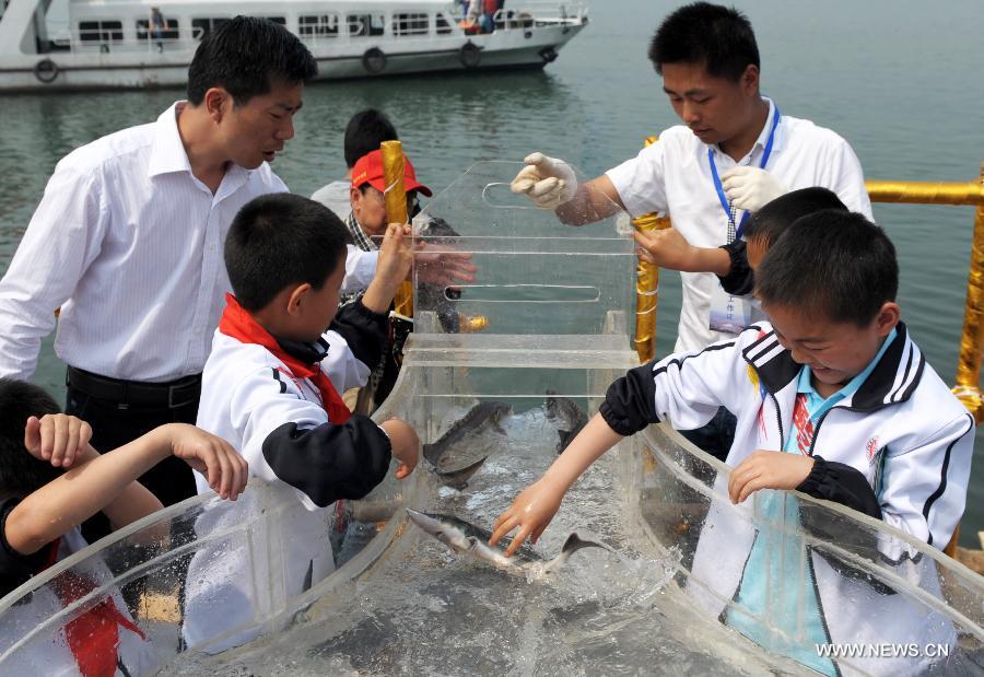 Volunteers release parrs of Chinese sturgeons into the Yangtze River in Yichang City, central China's Hubei Province, April 17, 2013. Over 8,000 parrs of Chinese sturgeons, a top-level protected species in China which lived at the same time as dinosaurs, were released on Wednesday here. (Xinhua/Xiao Yijiu) 