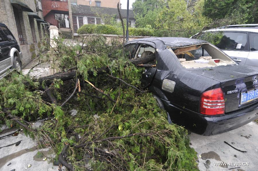 A car is crushed by a fallen tree after tornado and hailstorm hit Zhenyuan County, southwest China's Guizhou Province, April 18, 2013. The county was hit by tornado and hailstorm on Wednesday night with houses wrecked and vehicles smashed by fallen trees. (Xinhua)