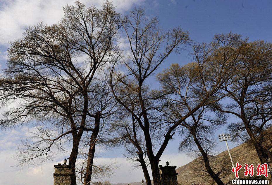 Photo taken on April 18 shows the scenery of Songpan County in Aba Tibetan and Qiang Autonomous Prefecture, Southwest China's Sichuan Province. Songpan, firstly built during Tang Dynasty and then rebuilt during Ming Dynasty, was an important military post in ancient China. (CNS/An Yuan)