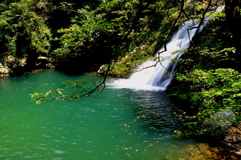 Located in the Luoxiao Mountains, Jinggang Mountain is the "cradle of the Chinese revolution", and has become a hot attraction for natural travel as well as patriotic education. Covering an area of 213.5 square kilometers, Jinggang Mountain accounts for 32.4 percent of Jinggangshan City. It has dozens of residences and sites of the revolution, of which 10 are under the protection of the State Council. It also boasts more than 60 attractions, including hot springs, caves, waterfalls, mountains and precious animals and plants. (Source: china.org.cn)