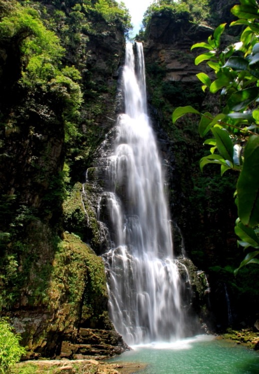 Located in the Luoxiao Mountains, Jinggang Mountain is the "cradle of the Chinese revolution", and has become a hot attraction for natural travel as well as patriotic education. Covering an area of 213.5 square kilometers, Jinggang Mountain accounts for 32.4 percent of Jinggangshan City. It has dozens of residences and sites of the revolution, of which 10 are under the protection of the State Council. It also boasts more than 60 attractions, including hot springs, caves, waterfalls, mountains and precious animals and plants. (Source: china.org.cn)