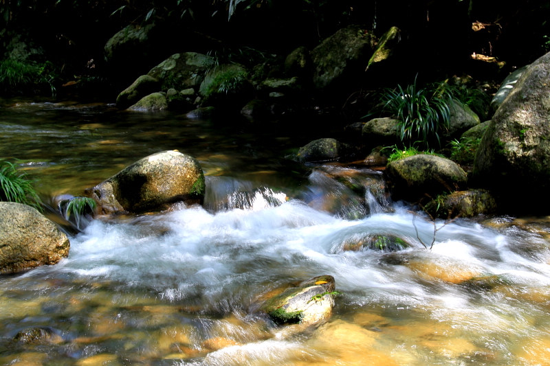 Located in the Luoxiao Mountains, Jinggang Mountain is the "cradle of the Chinese revolution", and has become a hot attraction for natural travel as well as patriotic education. Covering an area of 213.5 square kilometers, Jinggang Mountain accounts for 32.4 percent of Jinggangshan City. It has dozens of residences and sites of the revolution, of which 10 are under the protection of the State Council. It also boasts more than 60 attractions, including hot springs, caves, waterfalls, mountains and precious animals and plants. (Source: china.org.cn)