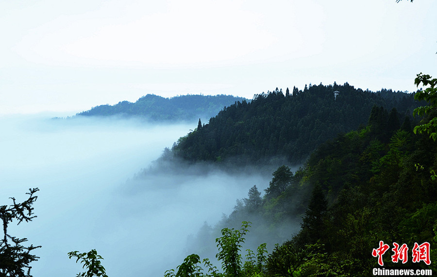 Photo shows the scenery of sea clouds at the Jinggang Mountain in late April. Located in the remote border region between Jiangxi and Hunan provinces, Jinggang Mountain is a national 4A tourist attraction. (Chinanews.com/Zhang Yingbo)