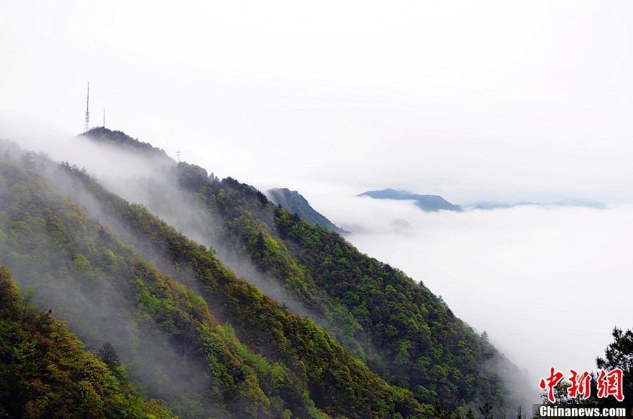 Photo shows the scenery of sea clouds at the Jinggang Mountain in late April. Located in the remote border region between Jiangxi and Hunan provinces, Jinggang Mountain is a national 4A tourist attraction. (Chinanews.com/Zhang Yingbo)