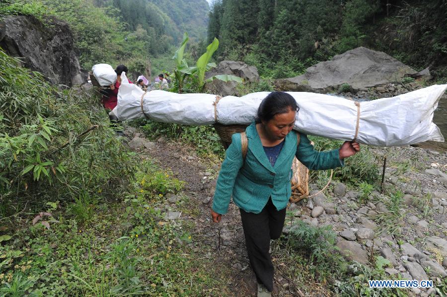 Villagers carrying disaster relief supplies walk in the mountain in quake-hit Shifeng Village of Lushan County, southwest China's Sichuan Province, April 22, 2013. The road linking the Shifeng Village with the outside had been destroyed by a 7.0-magnitude earthquake on April 20. Local villagers set up a 300-member group to climb mountains to get relief supplies outside and then return to the village. Over 40 tonnes of materials had been transported and distributed to over 2,000 villagers. (Xinhua/Li Ziheng) 