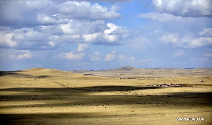 Photo taken on April 23, 2013 shows the scenery of prairie in Ulgai, north China's Inner Mongolia Autonomous Region. (Xinhua/Ren Junchuan)