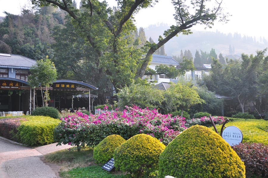 Photo shows the scenery of the wetland park at the Qionghai Lake in Xichang City, southwest China's Sichuan Province. (China.org.cn)