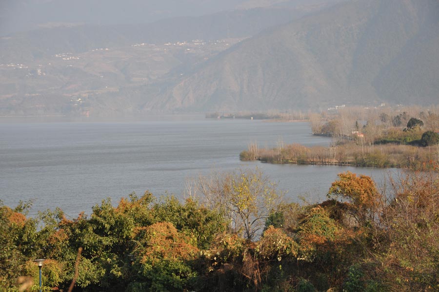 Photo shows the scenery of the wetland park at the Qionghai Lake in Xichang City, southwest China's Sichuan Province. (China.org.cn)