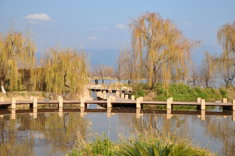 Photo shows the scenery of the wetland park at the Qionghai Lake in Xichang City, southwest China's Sichuan Province. (China.org.cn)