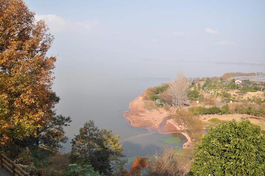 Photo shows the scenery of the wetland park at the Qionghai Lake in Xichang City, southwest China's Sichuan Province. (China.org.cn)