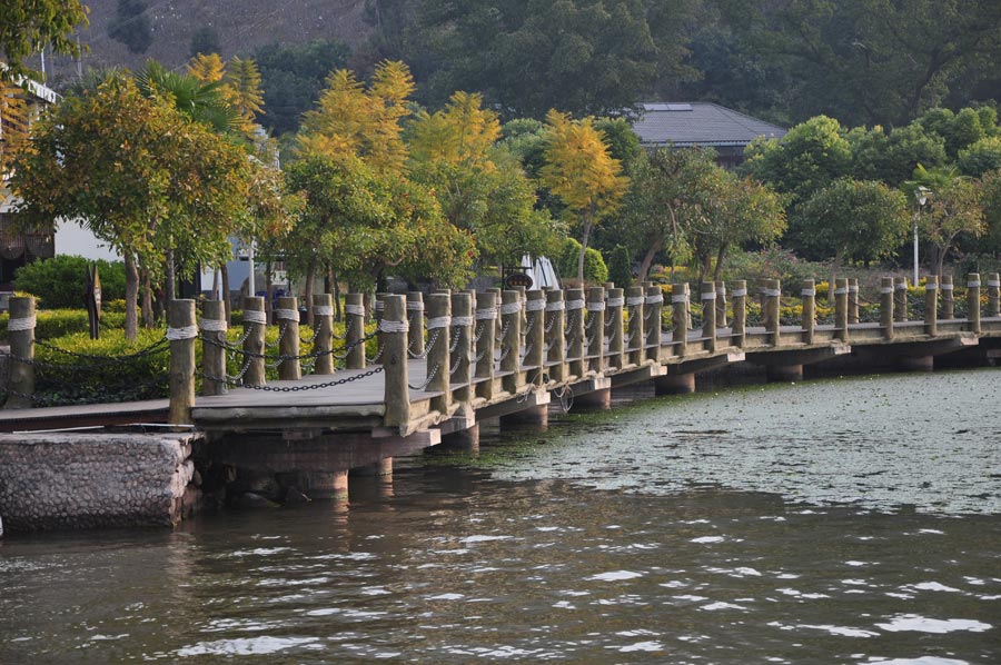 Photo shows the scenery of the wetland park at the Qionghai Lake in Xichang City, southwest China's Sichuan Province. (China.org.cn)