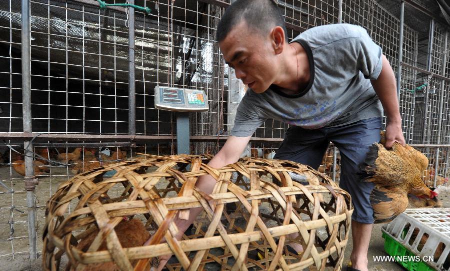 A vender works at a poultry market in Haikou, capital of south China's Hainan Province, April 26, 2013. Since the outbreak of the H7N9 avian flue virus, the poultry market in Hainan has been seriously affected, with the poultry price slumping by 40-60 percent on average. The local government has taken measures to step up monitoring efforts so as to ensure the healthy development of poultry industry. (Xinhua/Zhao Yingquan)