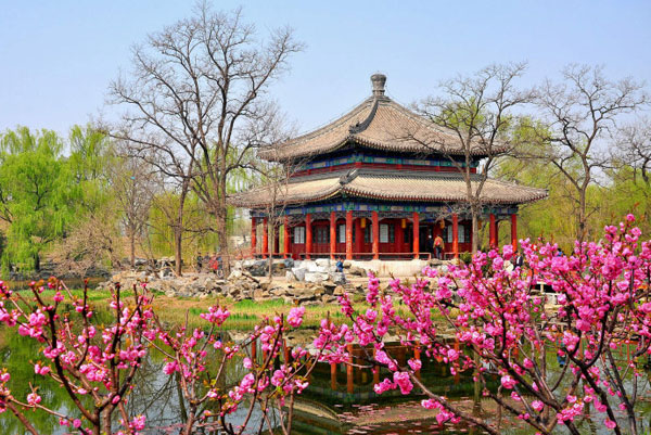 The park in Beijing's Haidian District at the old Summer Palace is bursting with new leaves and blooming flowers on Wednesday, April 24, 2013. [Photo:CRIENGLISH.com/Song Xiaofeng]