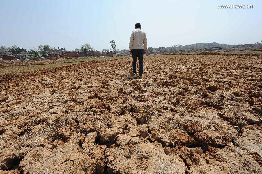 A villager stands on the dried-up fields in Qingshan Village of Qujing City, southwest China's Yunnan Province, April 8, 2013. Over 12 million people were affected by the lingering drought in the province. (Xinhua/Yang Zongyou)