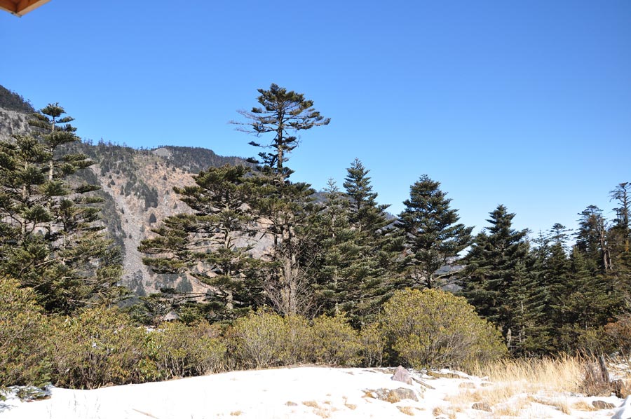 Photo shows the beautiful scenery in Luoji Mountain, Xichang City, China's Sichuan Province. (China.org.cn)