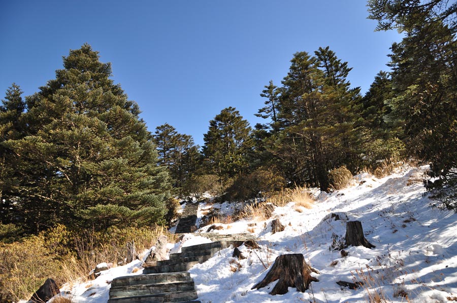 Photo shows the beautiful scenery in Luoji Mountain, Xichang City, China's Sichuan Province. (China.org.cn)