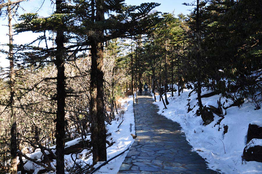 Photo shows the beautiful scenery in Luoji Mountain, Xichang City, China's Sichuan Province. (China.org.cn)