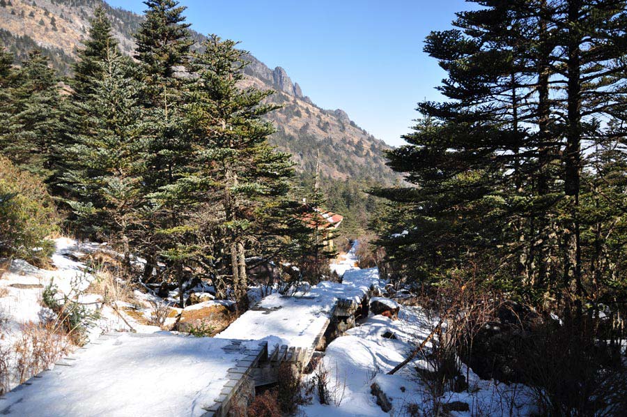 Photo shows the beautiful scenery in Luoji Mountain, Xichang City, China's Sichuan Province. (China.org.cn)