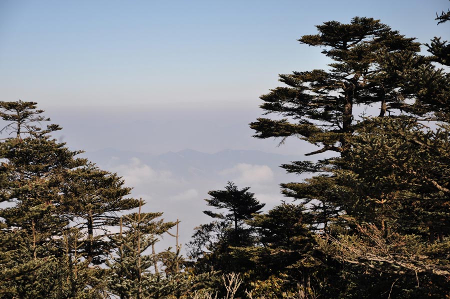 Photo shows the beautiful scenery in Luoji Mountain, Xichang City, China's Sichuan Province. (China.org.cn)