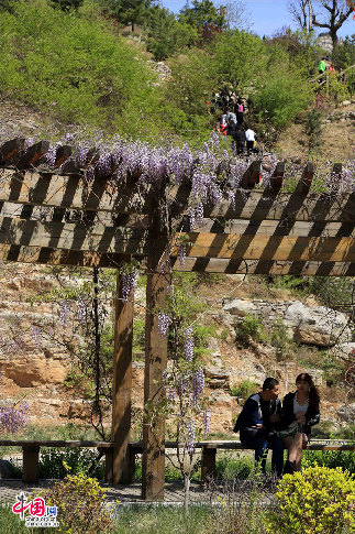 Tanxi Mountain scenic area is located in Taihe Town, Zibo City, Shandong Province. With its amazing natural landscape and splendid cultural relics, the area has won recognitions as a AAAA attraction, a national forest park, a national water conservancy attraction, a national geopark and a major proivincial place of interest. (China.org.cn/Zhang Hongxia)