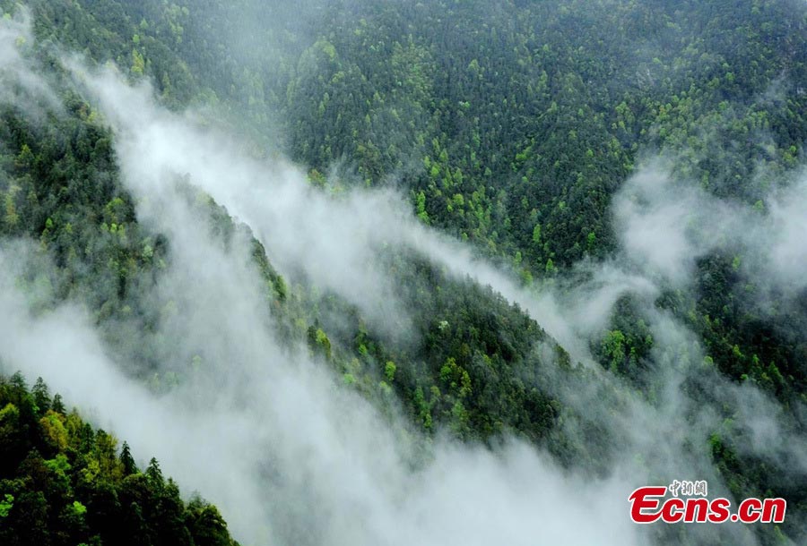 Photo taken on May 5, 2013 shows the amazing scenery of the Jinggang Mountains in Jiangxi Province. Located in the remote border region between Jiangxi and Hunan provinces, the Jinggang Mountains is a 4A tourist attraction. (CNS/Li Jianping)