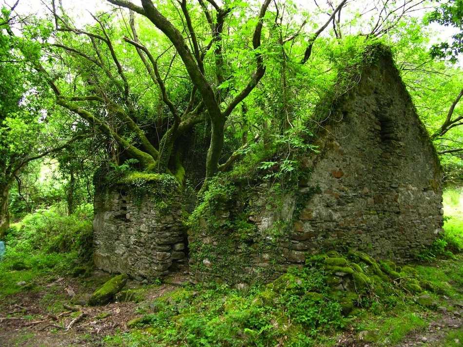 County Kerry between Sneem and Menkare villages, Ireland.(Photo/huanqiu.com) 