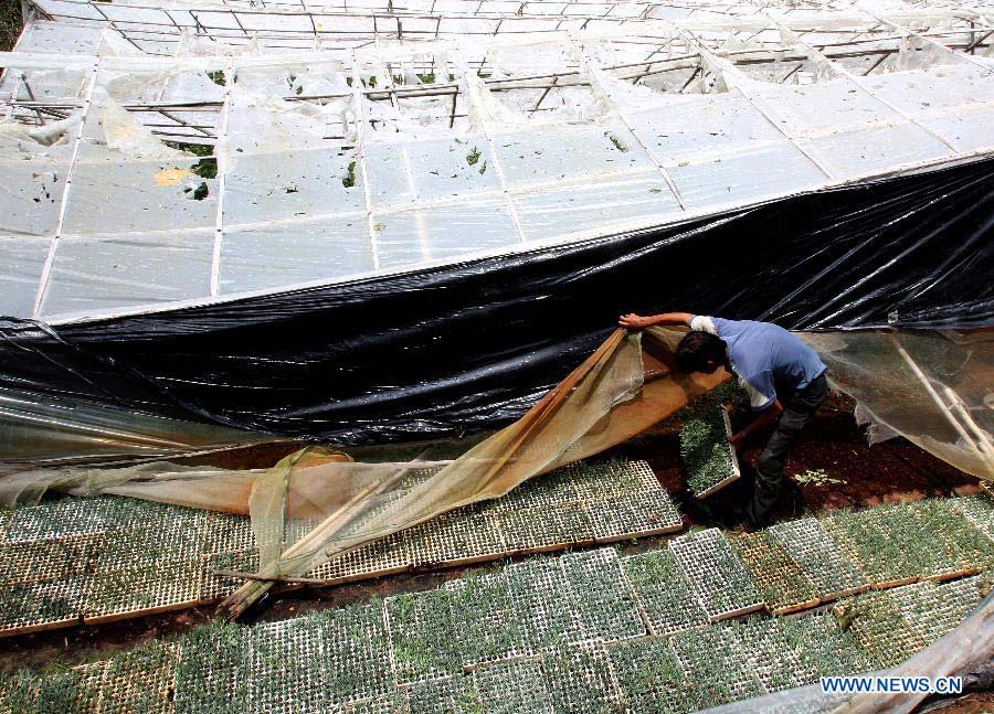 A local resident repairs a greenhouse destroyed by a hailstorm in Da Lat city, Lam Dong province, central Vietnam, May 9, 2013. Hailstorm and whirlwinds hitting northern and central Vietnam in the last two days caused severe property damages. (Xinhua/VNA)