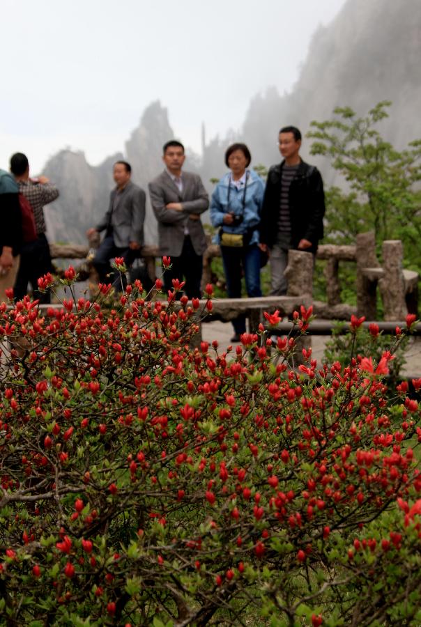 Photo taken on May 7, 2013 shows visitors viewing the blooming azaleas at the Mount Huangshan scenic spot in Huangshan City, east China's Anhui Province. (Xinhua/Shi Guangde)