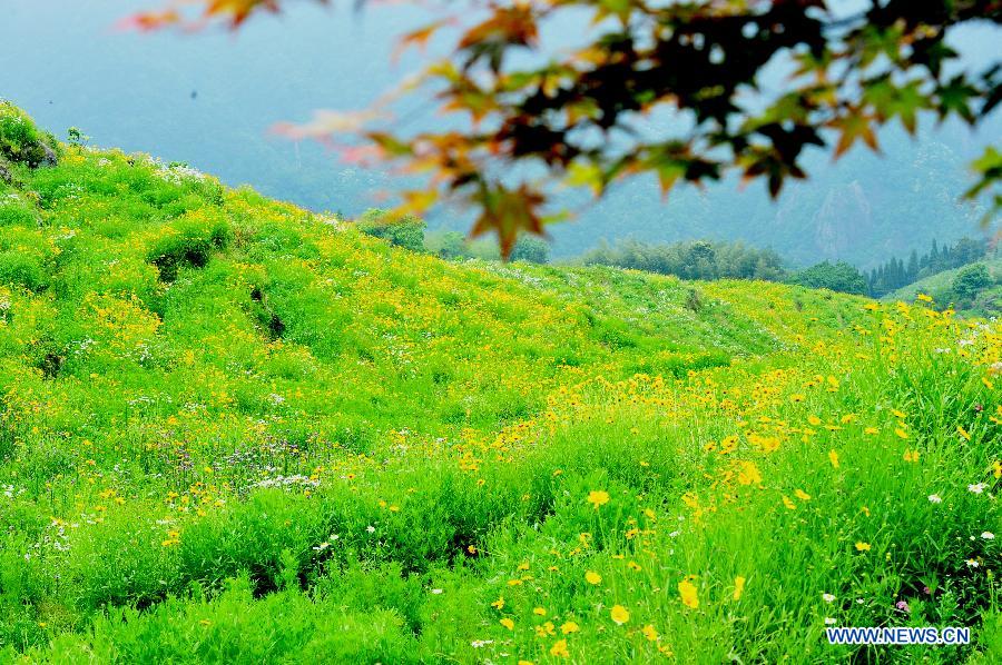 Visitors enjoy flowers in the flowery terraces in Yunshan Village of Yongtai County, southeast China's Fujian Province, May 9, 2013. The Yongtai County, which made great effort to improve its ecological environment in recent years, has seen its vegetation coverage rate reach 92 percent. (Xinhua/Zhang Guojun)