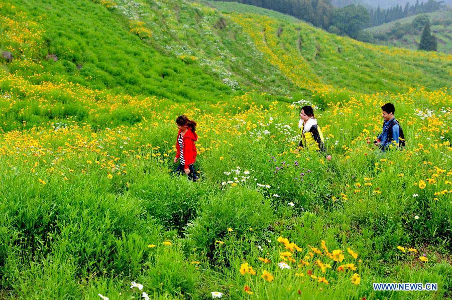 Visitors enjoy flowers in the flowery terraces in Yunshan Village of Yongtai County, southeast China's Fujian Province, May 9, 2013. The Yongtai County, which made great effort to improve its ecological environment in recent years, has seen its vegetation coverage rate reach 92 percent. (Xinhua/Zhang Guojun)