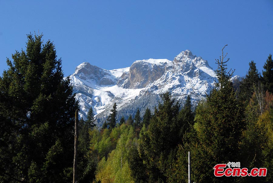 Photo taken in mid-May shows the magnificent scenery of Mount Hutou (or Mount Tiger Head) in Diebu County, Northwest China's Gansu Province. (CNS/Niu Zhien)