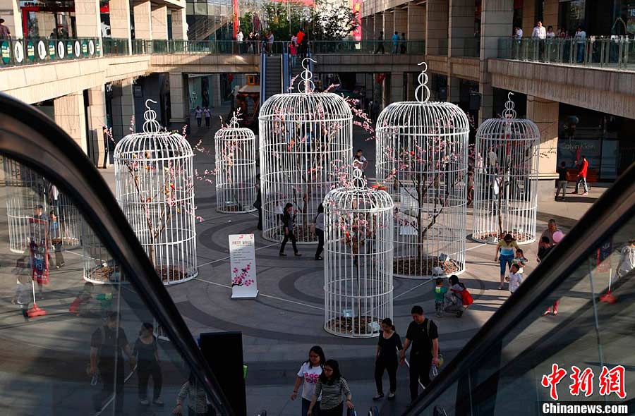 Residents walk through giant birdcages at a square in Nanjing, the capital city of east China's Jiangsu Province on Sunday, May 12, 2013. Six giant birdcages with artificial trees, flowers and birds inside were displayed in order to promote nature, environmental protection and a green lifestyle. [Photo: Chinanews.com]