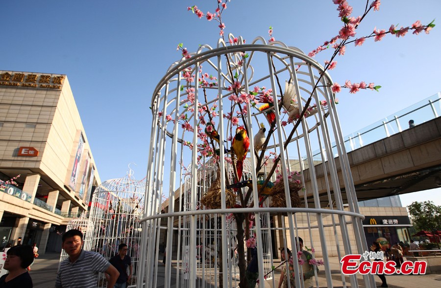 Huge birdcages with artificial flowers, trees and birds inside are displayed to promote environmental protection and green lifestyle at a square in Nanjing, the capital city of East China's Jiangsu Province, May 12, 2013. (CNS/Yang Bo)