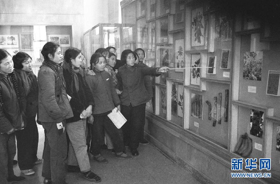 Beijing college students observe plant specimens at Beijing Museum of Natural History. Photo taken in 1962. (Photo/Xinhua)