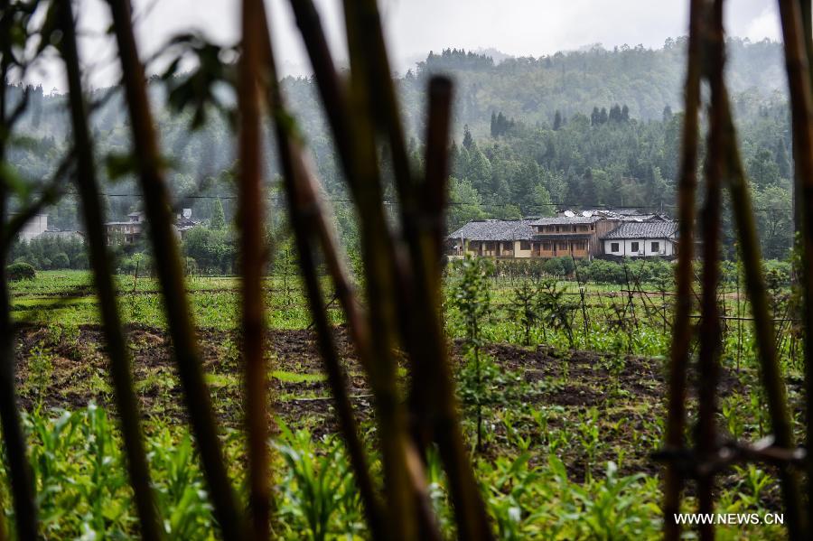 Photo taken on May 16, 2013 shows ancient buildings across fields in the Shangli Ancient Town in Ya'an City, southwest China's Sichuan Province. Most shops in the Shangli Ancient Town have resumed business after a 7.0-magnitude hit Ya'an on April 20. The picturesque Shangli Ancient Town is well-known for its elaborate architectural art. (Xinhua/Liu Xiao) 