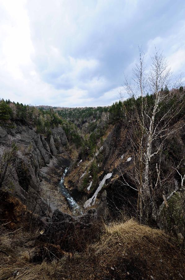 Photo taken on May 18, 2013 shows the scenery of the Jinjiang Valley in Changbai Mountain in Changchun City, northeast China's Jilin Province. (Xinhua/Xu Chang)