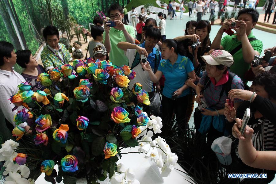 Visitors watch the colorful roses in the main exhibition hall during the 9th China (Beijing) International Garden Expo in Beijing, capital of China, May 18, 2013. The expo opened in southwestern Fengtai district in Beijing on Saturday and will last till Nov. 18, 2013. Garden designs from 69 Chinese cities and 29 countries will be presented. (Xinhua/Yang Le)