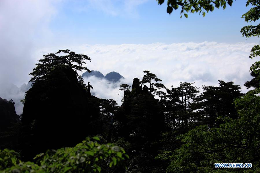 Photo taken on May 19, 2013 shows the sea of clouds at the Mount Huangshan scenic spot in Huangshan City, east China's Anhui Province. (Xinhua/Shi Guangde)