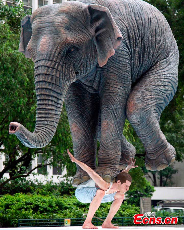 A 5-meter-high sculpture is on display in Statue Square, Hong Kong, May 21, 2013. The artwork "Pentateuque," brings to real life the fantastical and seemingly impossible act of an average man balancing a gigantic elephant, modelled on one at the Singapore Zoo, atop his back, which is actually a cast of the artist himself. [Photo: CNS/Hong Shaokui]